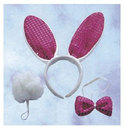 三件式兔耳裝飾組